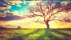 nature of being